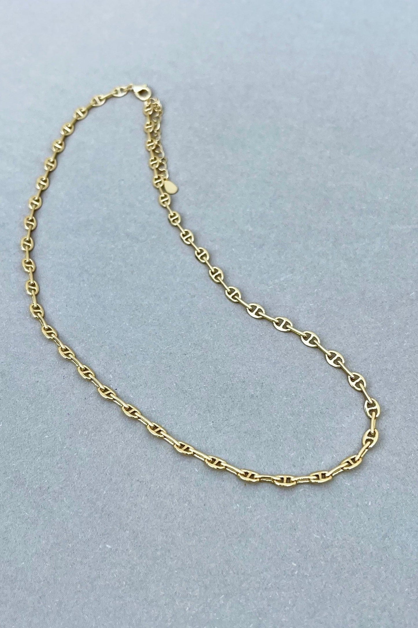 Collar Skinny Chain Dorado